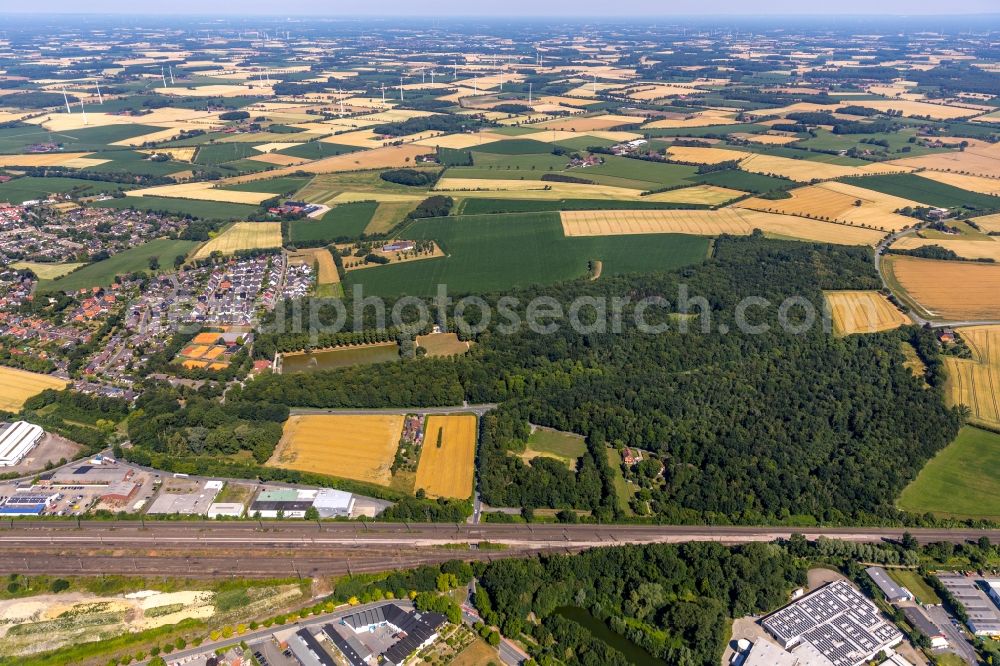 Ahlen from the bird's eye view: Tree tops in a deciduous forest - forest area in the urban area in Ahlen in the state North Rhine-Westphalia, Germany