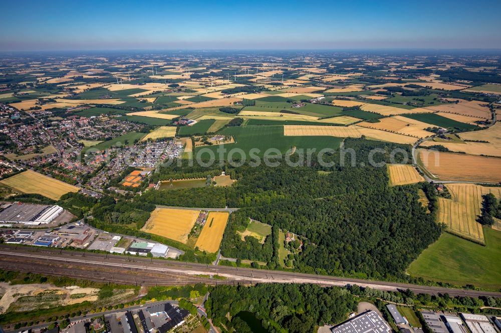 Aerial image Ahlen - Tree tops in a deciduous forest - forest area in the urban area in Ahlen in the state North Rhine-Westphalia, Germany