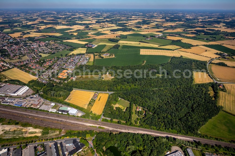 Aerial photograph Ahlen - Tree tops in a deciduous forest - forest area in the urban area in Ahlen in the state North Rhine-Westphalia, Germany