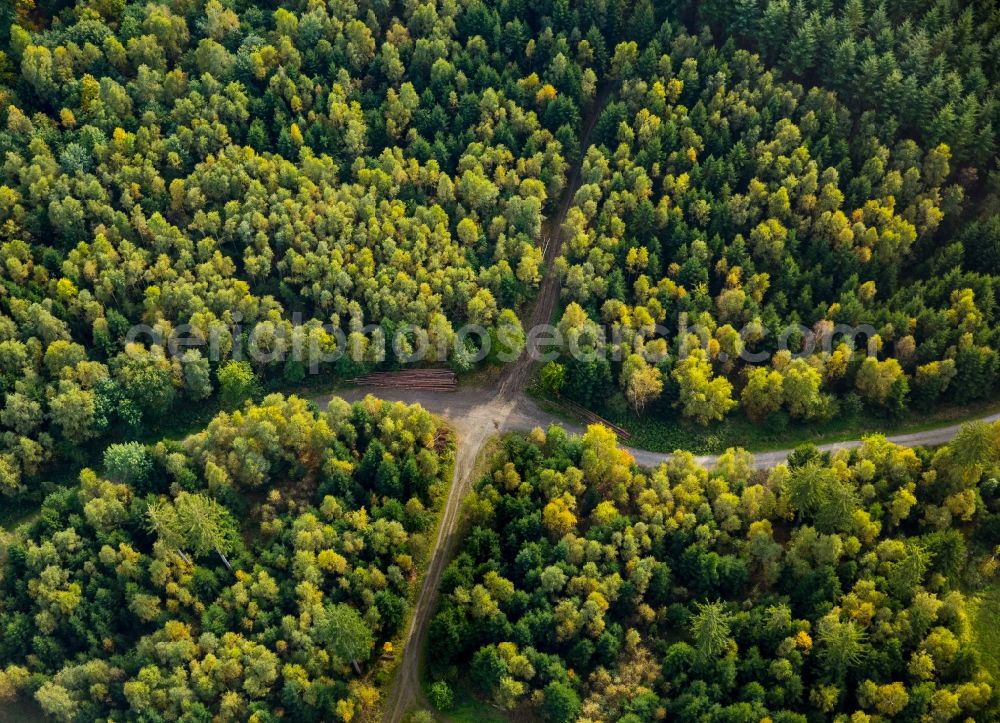 Meschede from above - Treetops in a wooded area at a crossroads in Meschede in the state North Rhine-Westphalia