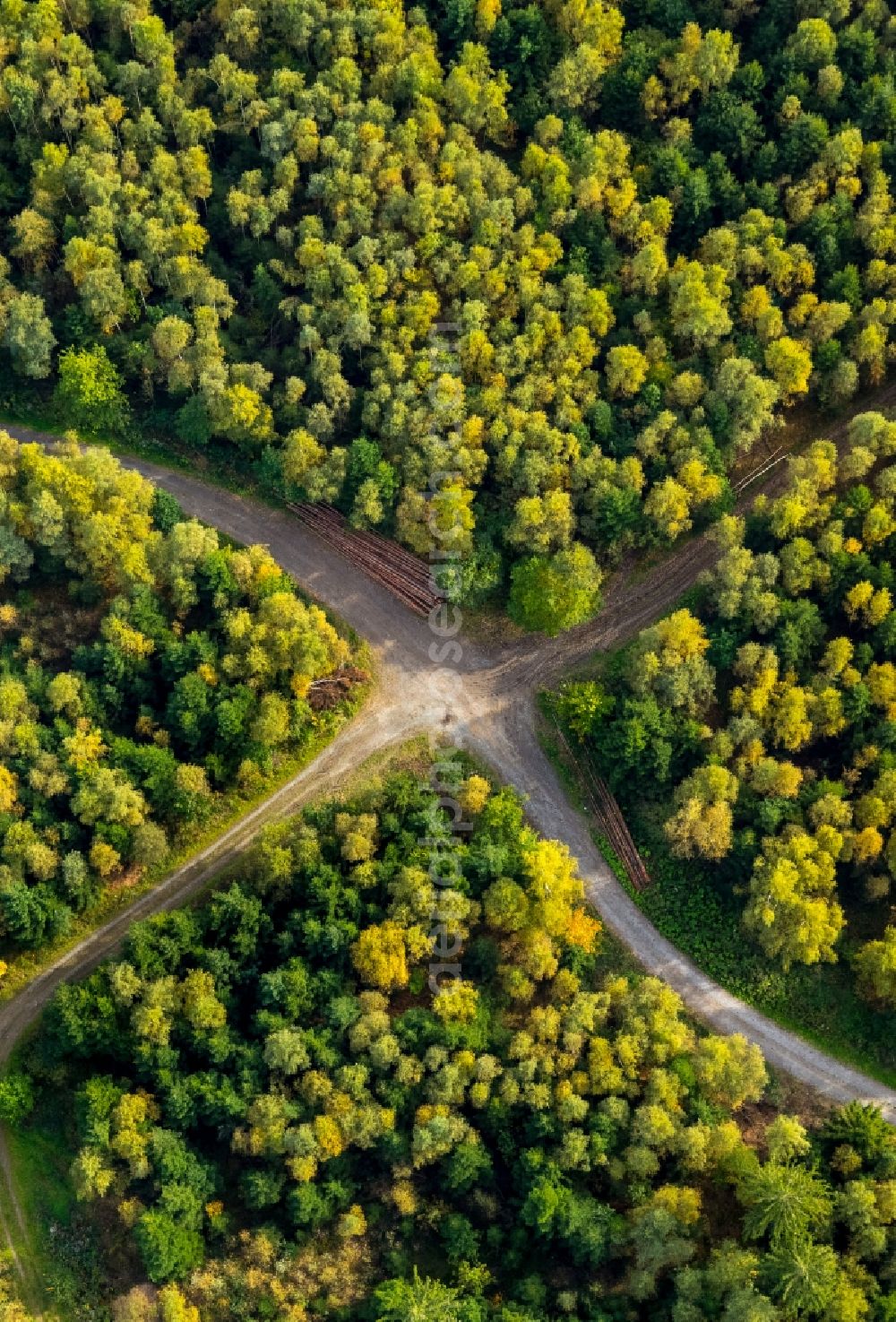 Aerial image Meschede - Treetops in a wooded area at a crossroads in Meschede in the state North Rhine-Westphalia