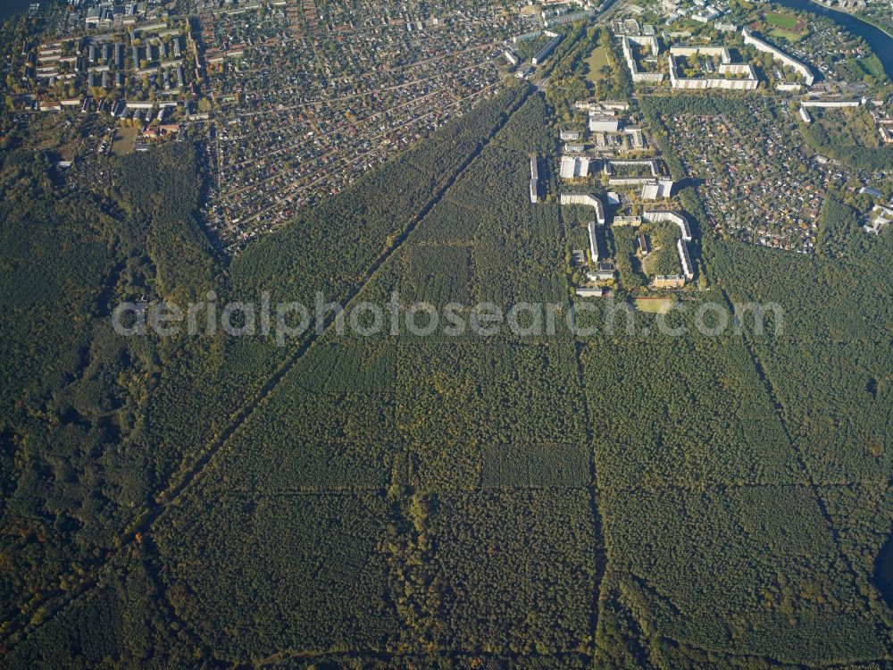 Berlin from above - Treetops in a wooded area at the housing area at the Gruene Trift in Berlin in Germany