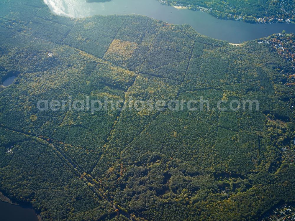 Berlin from the bird's eye view: Treetops in a wooded area between Langer See (Dahme) and Grossem Mueggelsee in Wendenschloss in Berlin in Germany