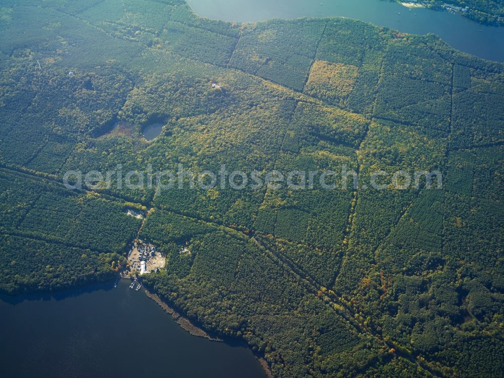 Aerial image Berlin - Treetops in a wooded area between Langer See (Dahme) and Grossem Mueggelsee in Wendenschloss in Berlin in Germany