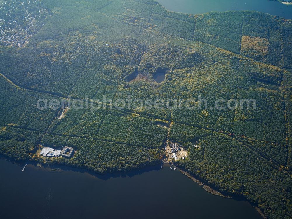 Aerial photograph Berlin - Treetops in a wooded area between Langer See (Dahme) and Grossem Mueggelsee in Wendenschloss in Berlin in Germany