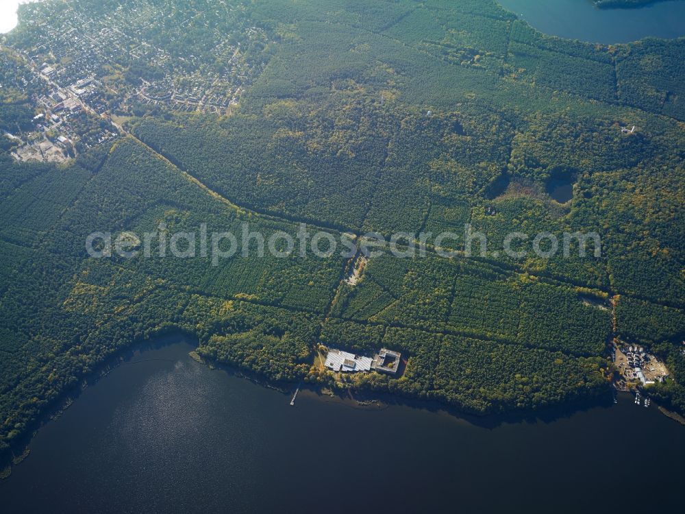 Berlin from above - Treetops in a wooded area between Langer See (Dahme) and Grossem Mueggelsee in Wendenschloss in Berlin in Germany