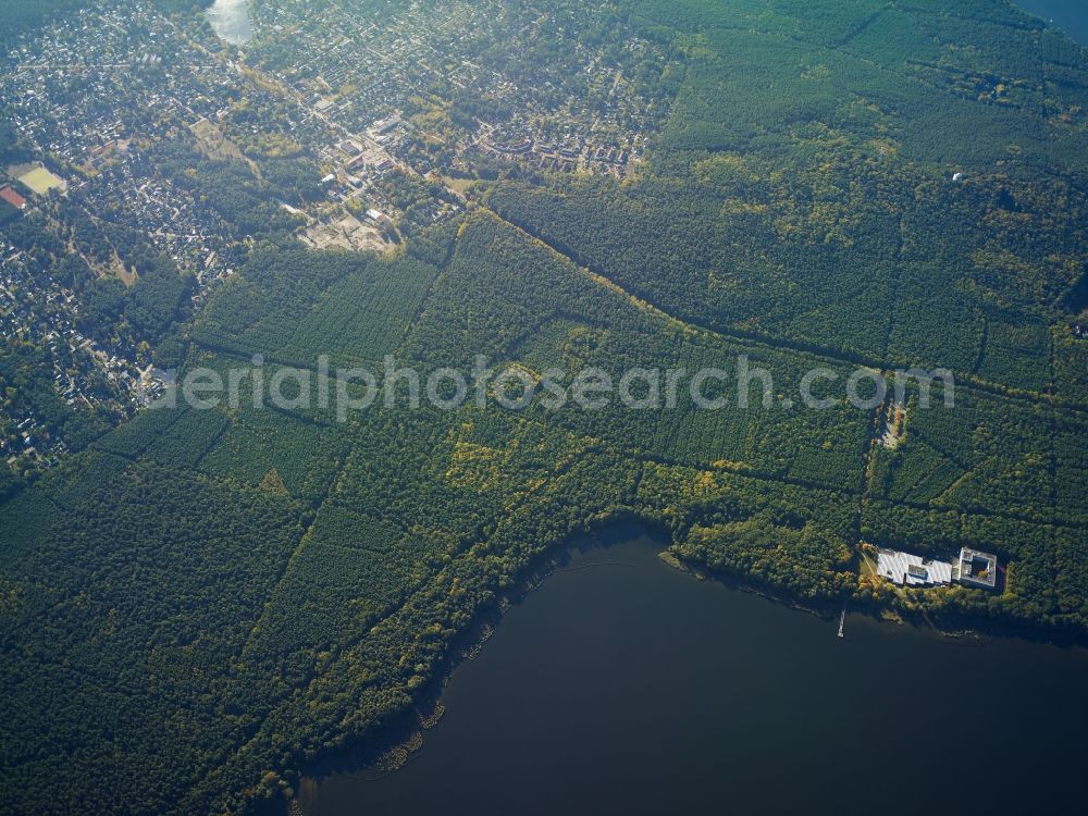 Berlin from the bird's eye view: Treetops in a wooded area between Langer See (Dahme) and Grossem Mueggelsee in Wendenschloss in Berlin in Germany