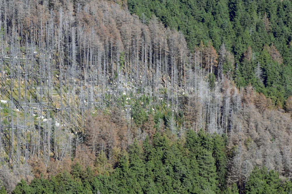 Bad Harzburg from the bird's eye view: Blick auf das Baumsterben im Nationalpark Harz. Der Nationalpark Harz ist der größte Waldnationalpark Deutschlands. Das Gebiet ist vor allem von Fichten- und Buchenwäldern geprägt, die stark vom Waldsterben bedroht sind. In den höheren Lagen ist als Folge ddes Sauren Regens fast jeder Baum krank. Die Krankheit wird als Lametta Effekt bezeichnet, da die Nadeln der geschädigten Bäume schlaff hängen und eine graue Färbung annehmen. Kontakt: Nationalparkverwaltung Harz, Lindenallee 35, 38855 Wernigerode, Tel. +49(0)3943 5502 0, Fax +49(0)3943 5502 37, E-Mail: info@nationalpark-harz.de