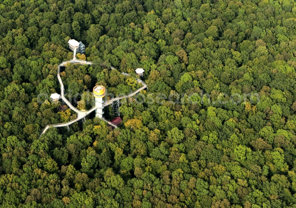 Aerial image Bad Langensalza - Tree - tower in the nature trail in Thuringia Hainich. This nature trail is located in the Forest of Bad Langensalza and the building is owned by the city. The project is operated by the Reko GmbH and costs 1.8 million euros. The path is 306 m long and 24.5 m height ends in visible light on the tree tower. The trail can be visited all year round