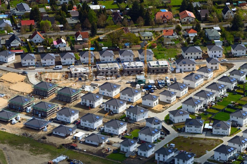 Schulzendorf from the bird's eye view: Residential area construction site of a mixed development with multi-family houses and single-family houses- New building at the on Ritterfleck - Sonnenblumenweg - Malvenweg in Schulzendorf in the state Brandenburg, Germany