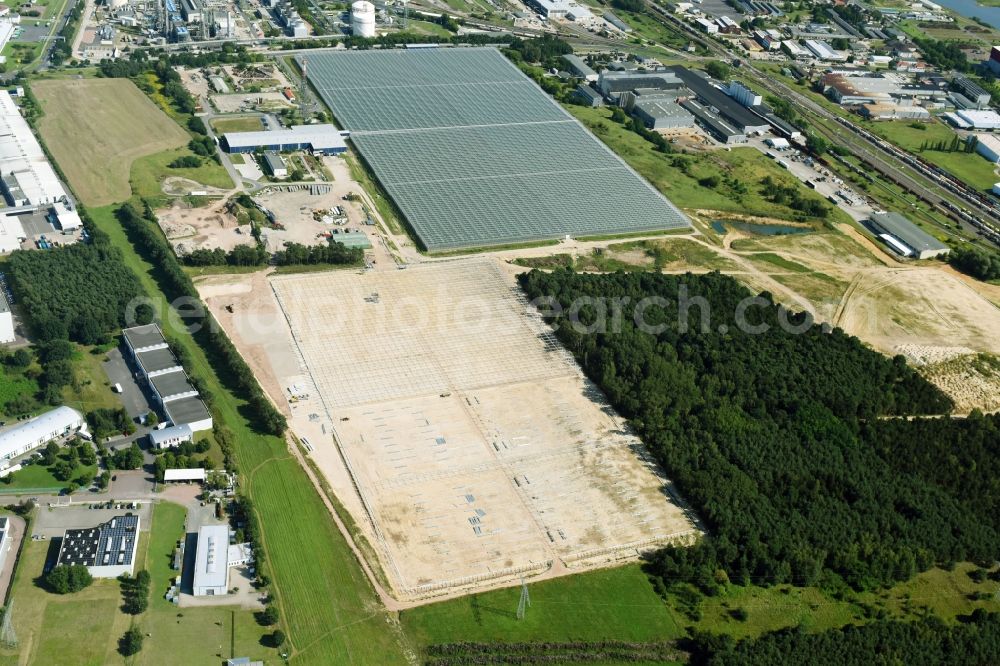 Aerial photograph Lutherstadt Wittenberg - Construction site and assembly for new greenhouses series of Wittenberg Gemuese GmbH on Hans-Heinrich-Franck-Strasse in Lutherstadt Wittenberg in the state Saxony-Anhalt, Germany