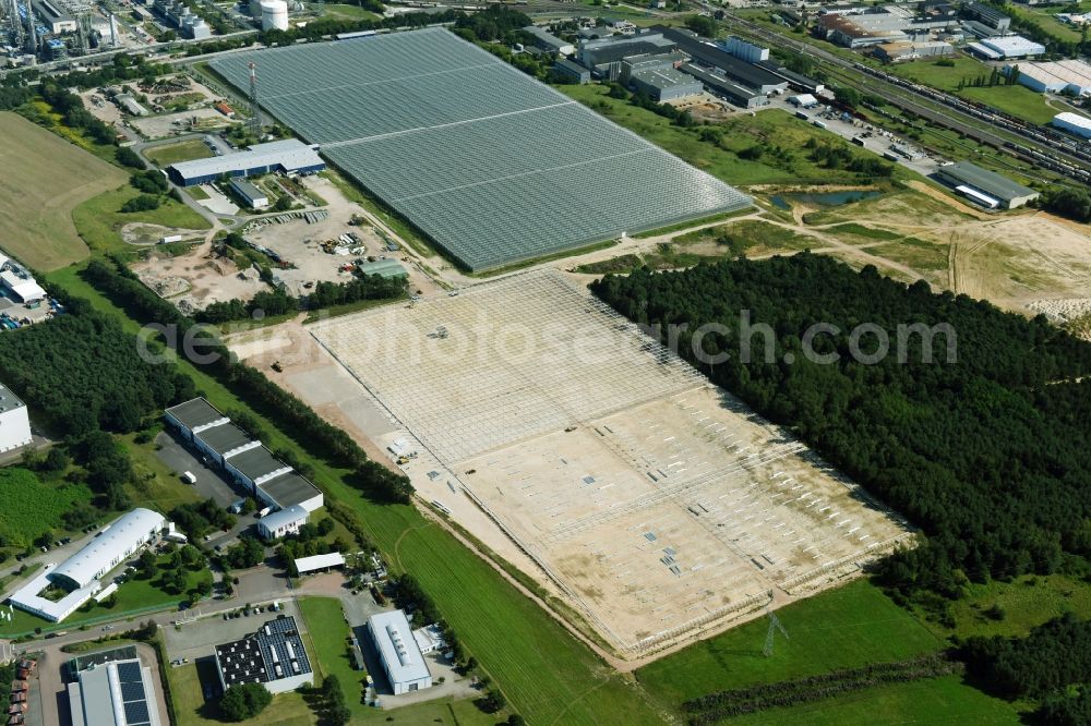 Lutherstadt Wittenberg from above - Construction site and assembly for new greenhouses series of Wittenberg Gemuese GmbH on Hans-Heinrich-Franck-Strasse in Lutherstadt Wittenberg in the state Saxony-Anhalt, Germany