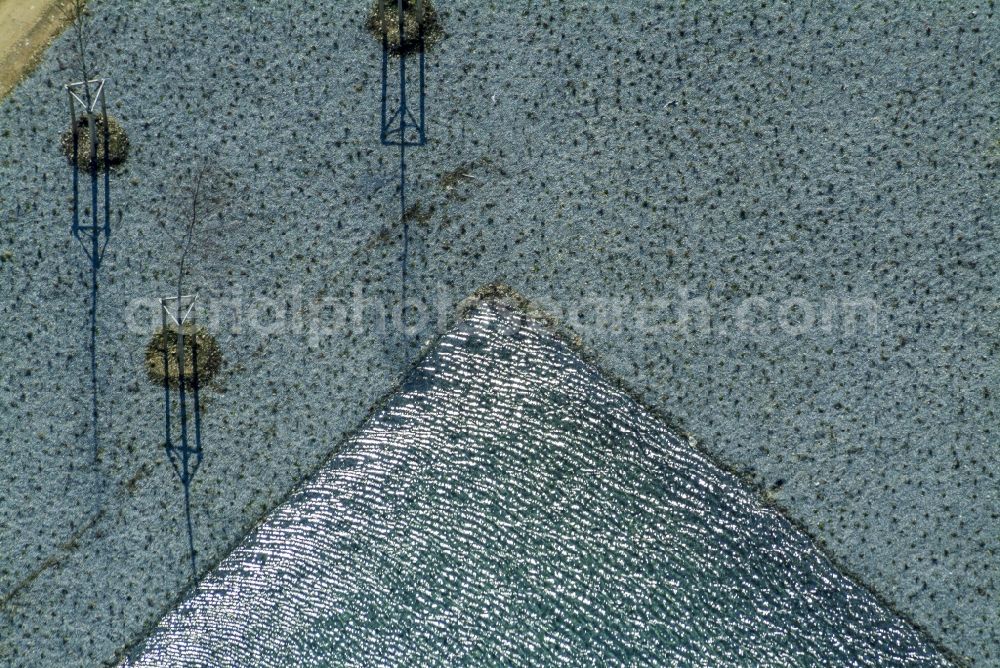 Aerial photograph München - Wetlands on the western edge of the site Riemer lake in Munich in Bavaria