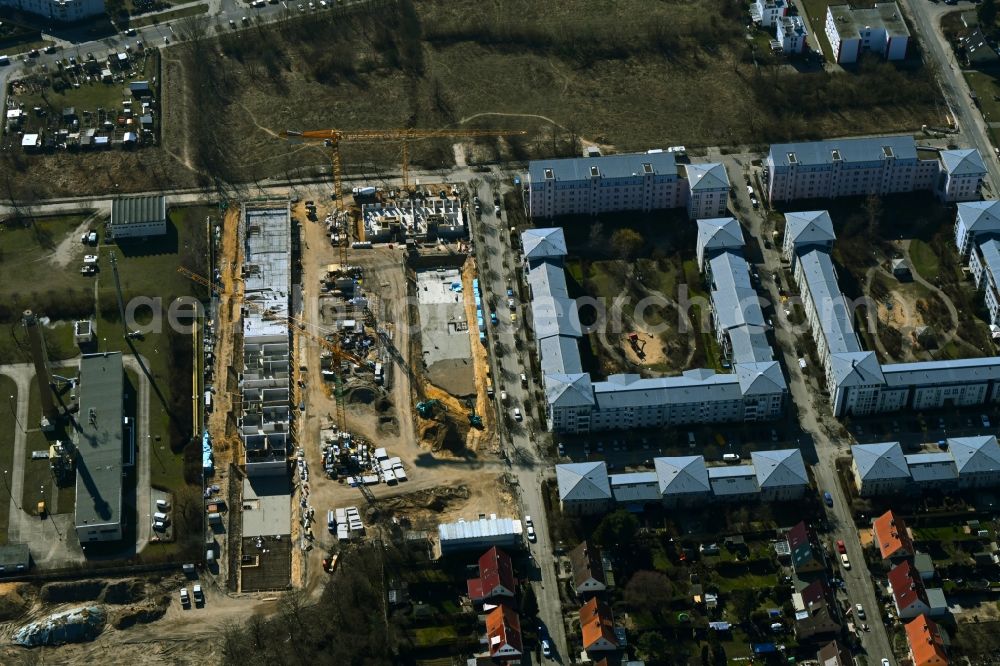 Aerial photograph Berlin - Residential construction site with multi-family housing development- on the on Hassoweg - Nelkenweg - Anne-Frank-Strasse in the district Altglienicke in Berlin, Germany