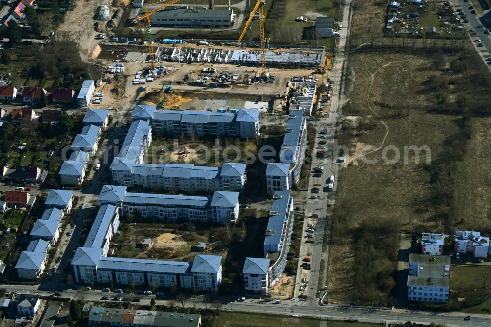 Aerial photograph Berlin - Residential construction site with multi-family housing development- on the on Hassoweg - Nelkenweg - Anne-Frank-Strasse in the district Altglienicke in Berlin, Germany