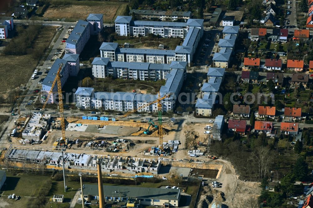 Berlin from above - Residential construction site with multi-family housing development- on the on Hassoweg - Nelkenweg - Anne-Frank-Strasse in the district Altglienicke in Berlin, Germany