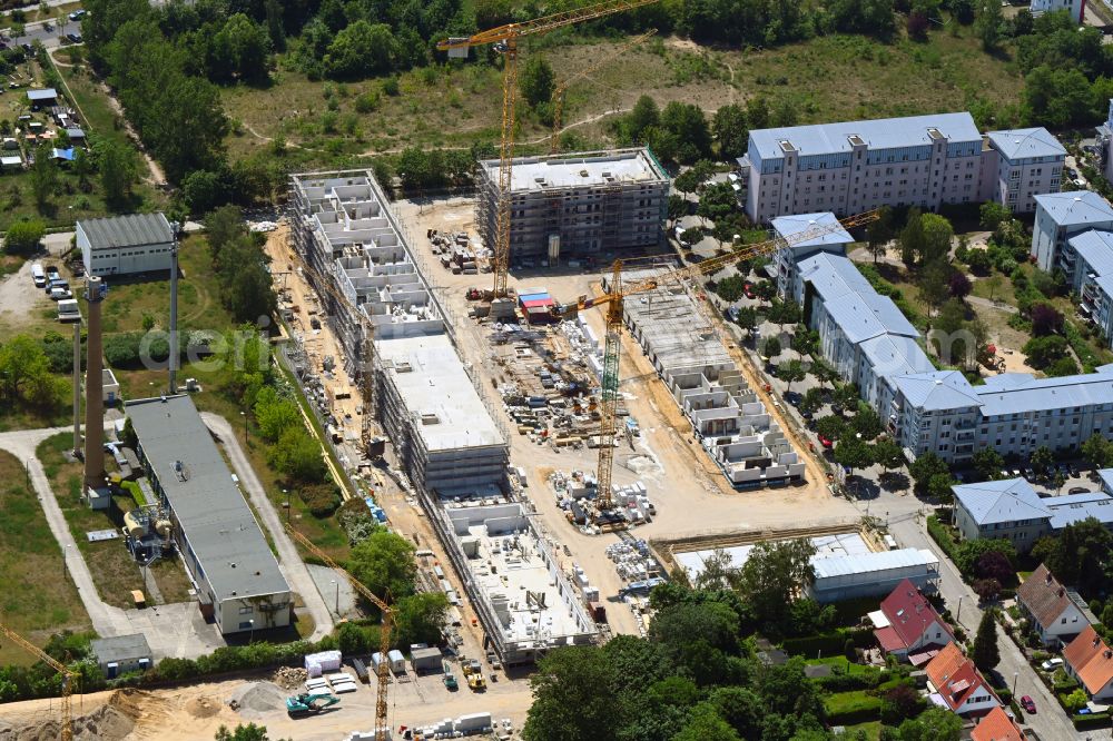 Berlin from the bird's eye view: Residential construction site with multi-family housing development- on the on Hassoweg - Nelkenweg - Anne-Frank-Strasse in the district Altglienicke in Berlin, Germany