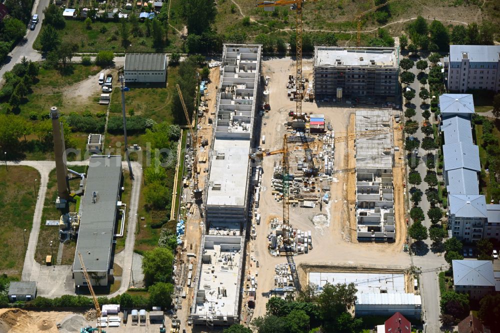 Aerial photograph Berlin - Residential construction site with multi-family housing development- on the on Hassoweg - Nelkenweg - Anne-Frank-Strasse in the district Altglienicke in Berlin, Germany