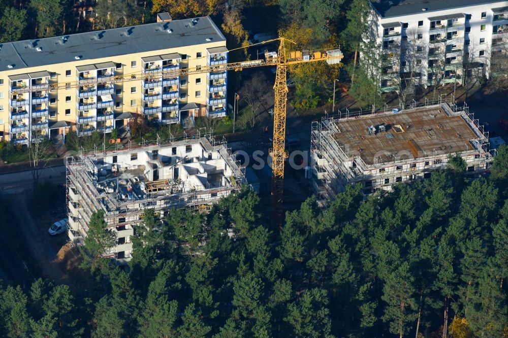 Potsdam from above - Residential construction site with multi-family housing development on the Am Moosfenn in the district Waldstadt in Potsdam in the state Brandenburg, Germany