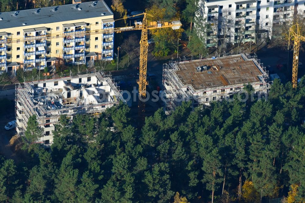 Potsdam from the bird's eye view: Residential construction site with multi-family housing development on the Am Moosfenn in the district Waldstadt in Potsdam in the state Brandenburg, Germany