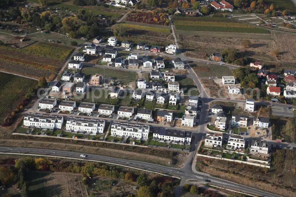 Bodenheim from the bird's eye view: Residential construction site with multi-family housing development- on the in the north of Rosetta Vogt Strasse in Bodenheim in the state Rhineland-Palatinate, Germany