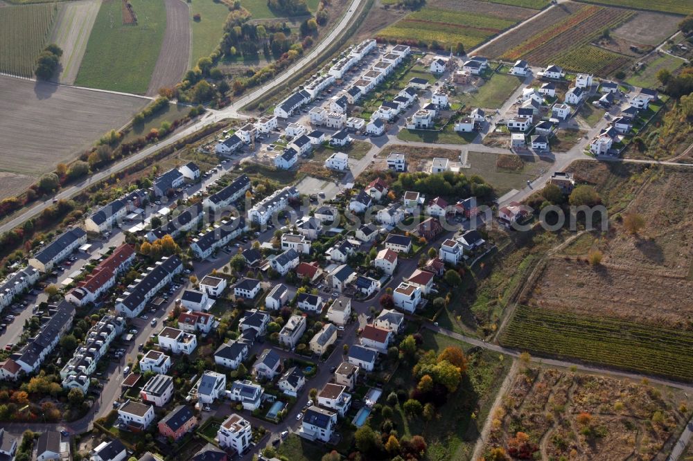 Bodenheim from above - Residential construction site with multi-family housing development- on the in the north of Rosetta Vogt Strasse in Bodenheim in the state Rhineland-Palatinate, Germany