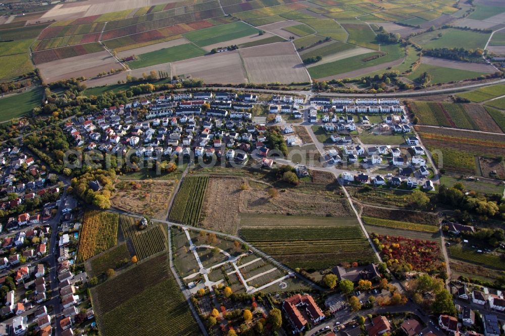 Bodenheim from the bird's eye view: Residential construction site with multi-family housing development- on the in the north of Rosetta Vogt Strasse in Bodenheim in the state Rhineland-Palatinate, Germany