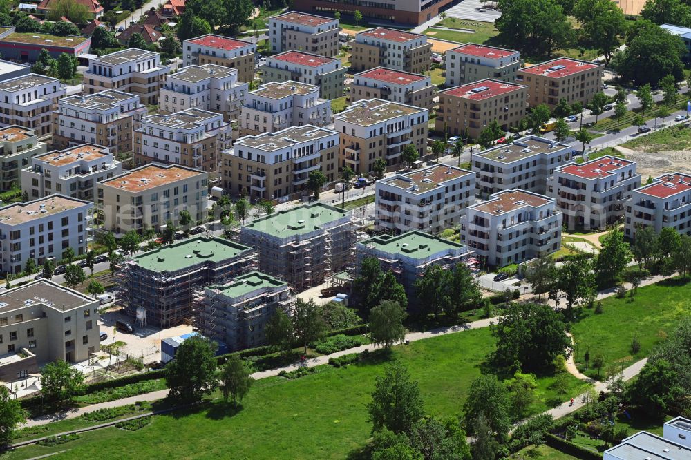 Aerial photograph Potsdam - Residential construction site with multi-family housing development- on street Georg-Hermann-Allee in the district Bornstedt in Potsdam in the state Brandenburg, Germany