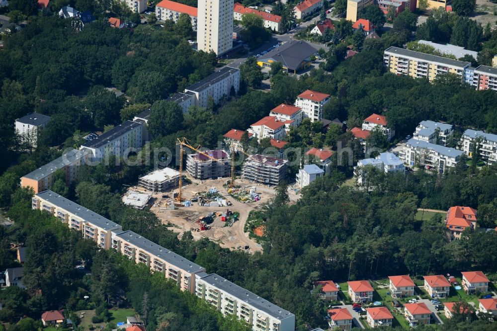 Potsdam from the bird's eye view: Residential construction site with multi-family housing development- on the between Grossberenstrasse and Grotianstrasse in the district Stern in Potsdam in the state Brandenburg, Germany