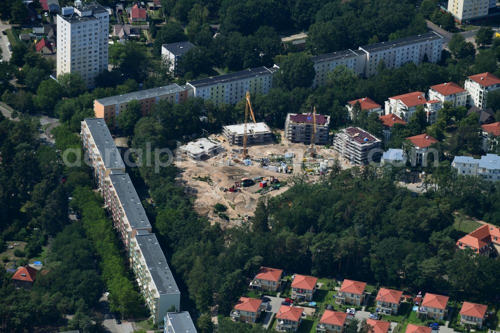 Aerial image Potsdam - Residential construction site with multi-family housing development- on the between Grossberenstrasse and Grotianstrasse in the district Stern in Potsdam in the state Brandenburg, Germany