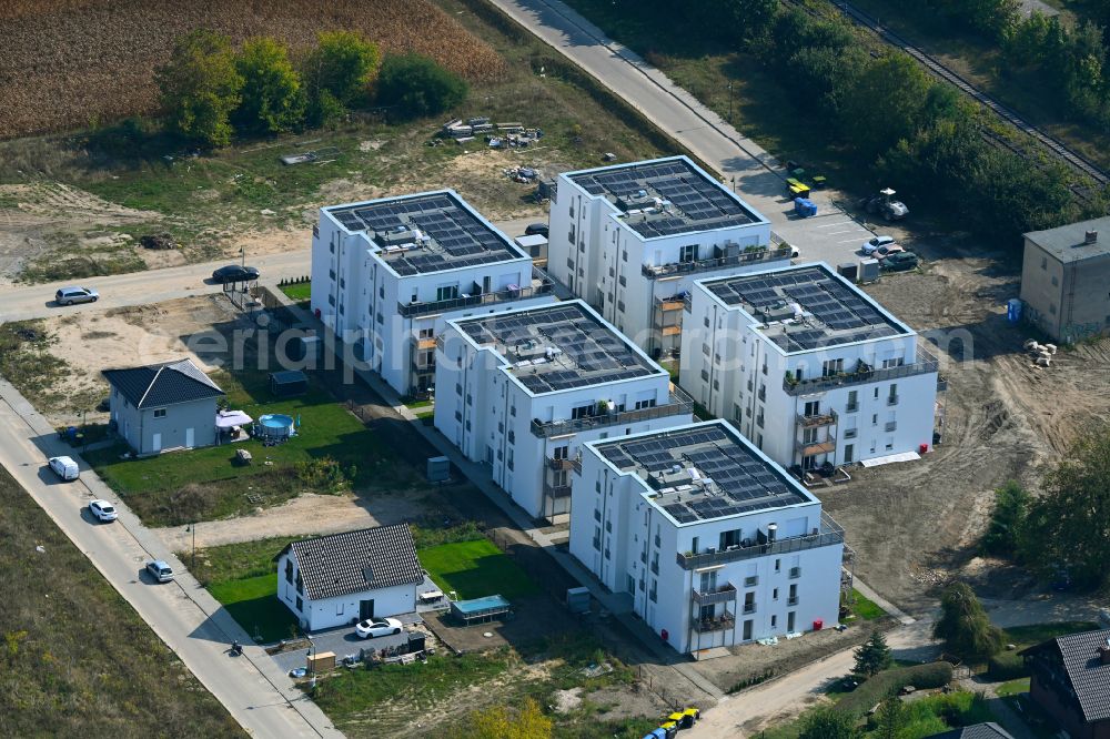 Werneuchen from the bird's eye view: Residential construction site with multi-family housing development- on street Rotdornweg Ecke Weissdornweg in Werneuchen in the state Brandenburg, Germany