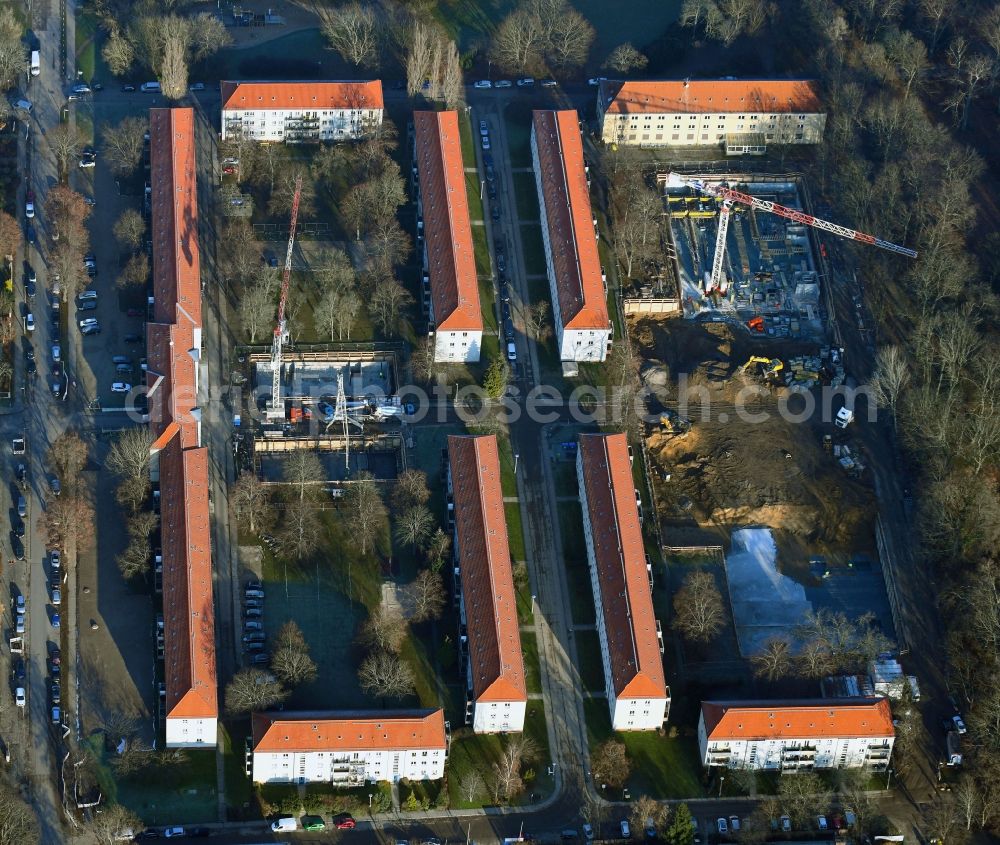 Berlin from above - Residential construction site with multi-family housing development- at Wildrosenweg in the district Biesdorf in Berlin, Germany