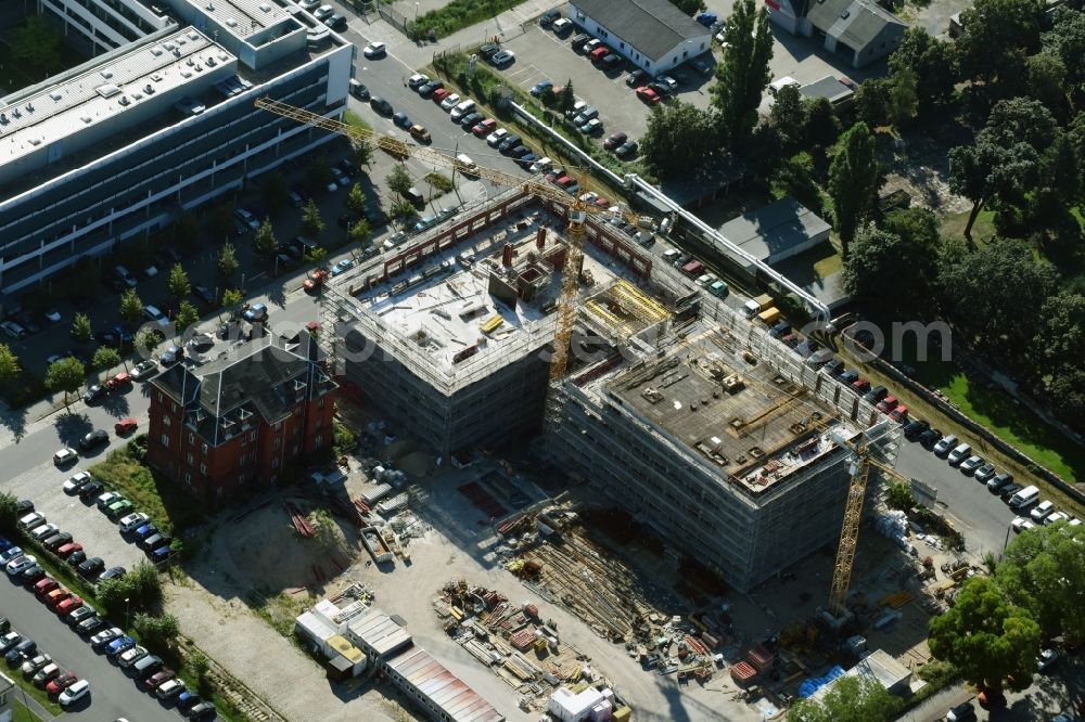 Dresden from the bird's eye view: Construction site of the WOLFF & MUeLLER Holding GmbH & Co. KG for the new building des Biotech-Gruenderzentrum in the street Tatzberg in Dresden in the state Saxony