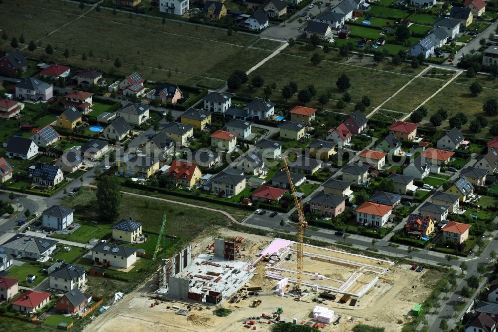 Berlin from the bird's eye view: New construction of the building complex of the shopping center Mohrenfalterweg - Habichtshorst in Berlin