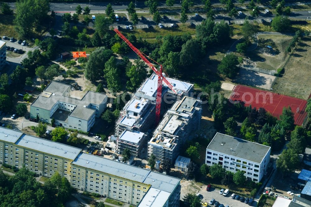 Aerial image Teltow - Construction site to build a new multi-family residential complex on Albert-Wiebach-Strasse in Teltow in the state Brandenburg, Germany