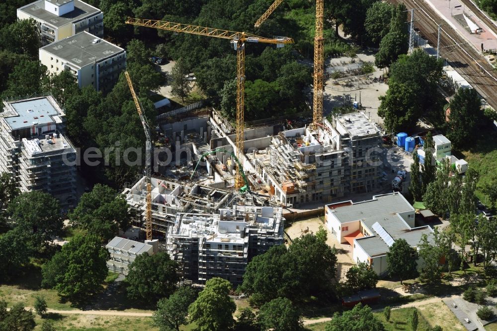 Berlin from the bird's eye view: Construction site to build a new multi-family residential complex Am Carlsgarten of Helma Wohnungsbau GmbH designed by architects Blumers by Zechbau GmbH in Berlin