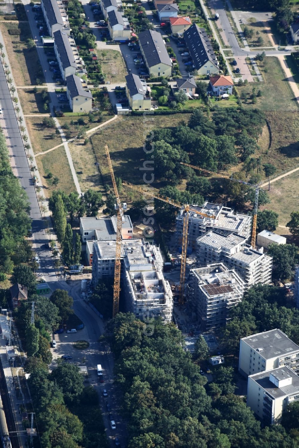 Aerial image Berlin - Construction site to build a new multi-family residential complex Am Carlsgarten of Helma Wohnungsbau GmbH designed by architects Blumers by Zechbau GmbH in Berlin