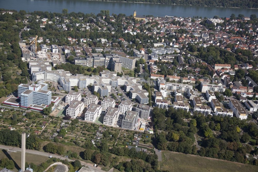 Aerial image Mainz - Construction site to build a new multi-family residential complex in Mainz in the state Rhineland-Palatinate. To the left of the building is the professional association