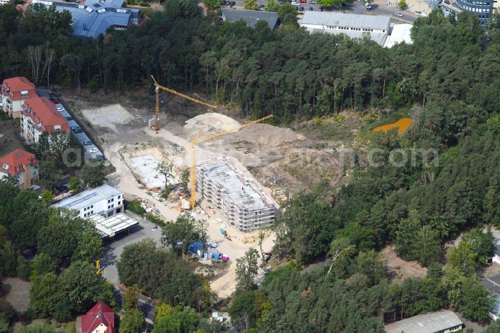 Aerial image Potsdam - Construction site to build a new multi-family residential complex Residenz Steinstrasse in the district Stern in Potsdam in the state Brandenburg, Germany