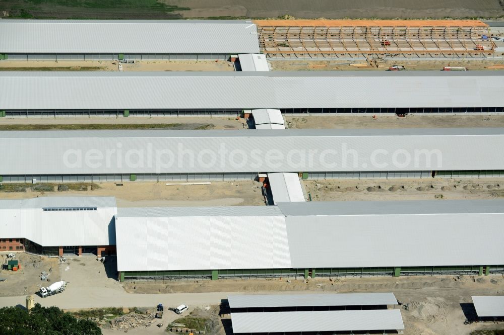 Aerial image Ziltendorf - Construction site for the new building der Milchviehanlage der Bauerngesellschaft “Ziltendorfer Niederung” in Ziltendorf in the state Brandenburg