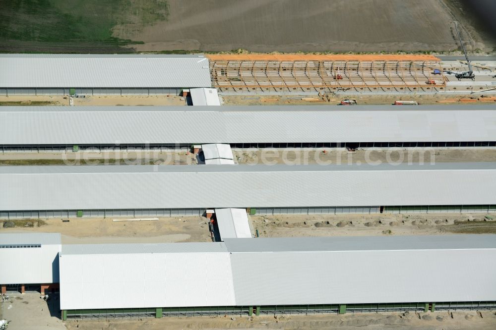 Aerial photograph Ziltendorf - Construction site for the new building der Milchviehanlage der Bauerngesellschaft “Ziltendorfer Niederung” in Ziltendorf in the state Brandenburg