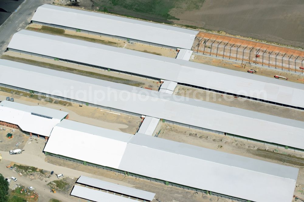 Ziltendorf from the bird's eye view: Construction site for the new building der Milchviehanlage der Bauerngesellschaft “Ziltendorfer Niederung” in Ziltendorf in the state Brandenburg