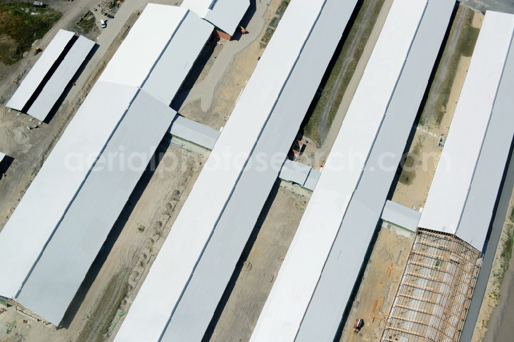 Ziltendorf from the bird's eye view: Construction site for the new building der Milchviehanlage der Bauerngesellschaft “Ziltendorfer Niederung” in Ziltendorf in the state Brandenburg