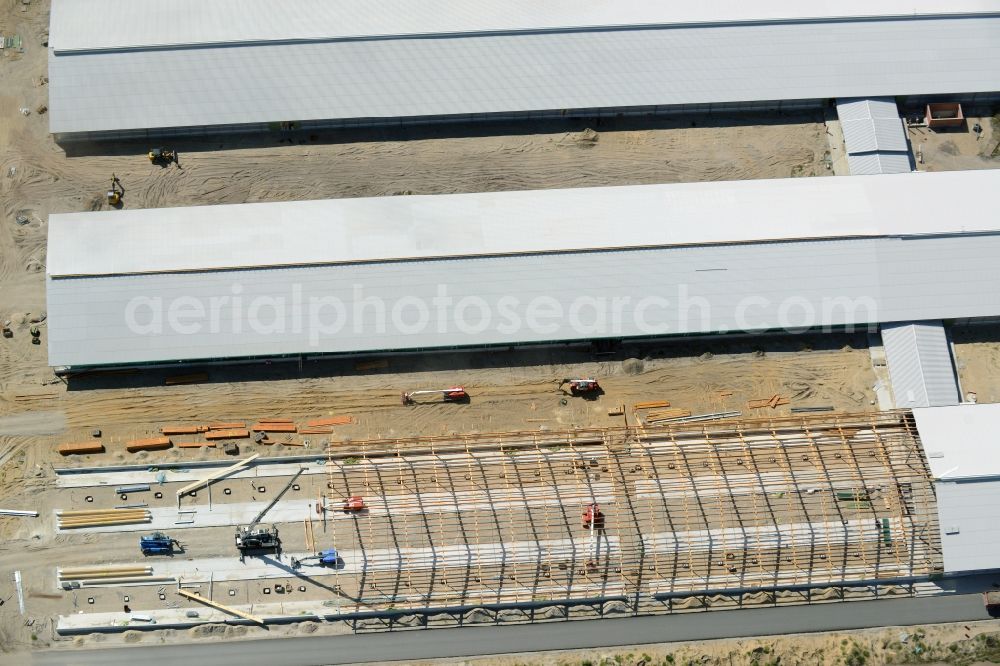 Aerial image Ziltendorf - Construction site for the new building der Milchviehanlage der Bauerngesellschaft “Ziltendorfer Niederung” in Ziltendorf in the state Brandenburg