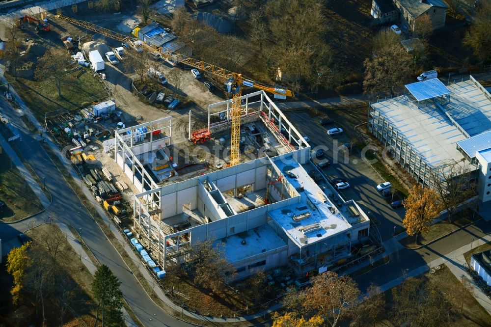 Aerial image Potsdam - Construction site for the new sports hall on corner Olympischer Weg in Potsdam in the state Brandenburg, Germany