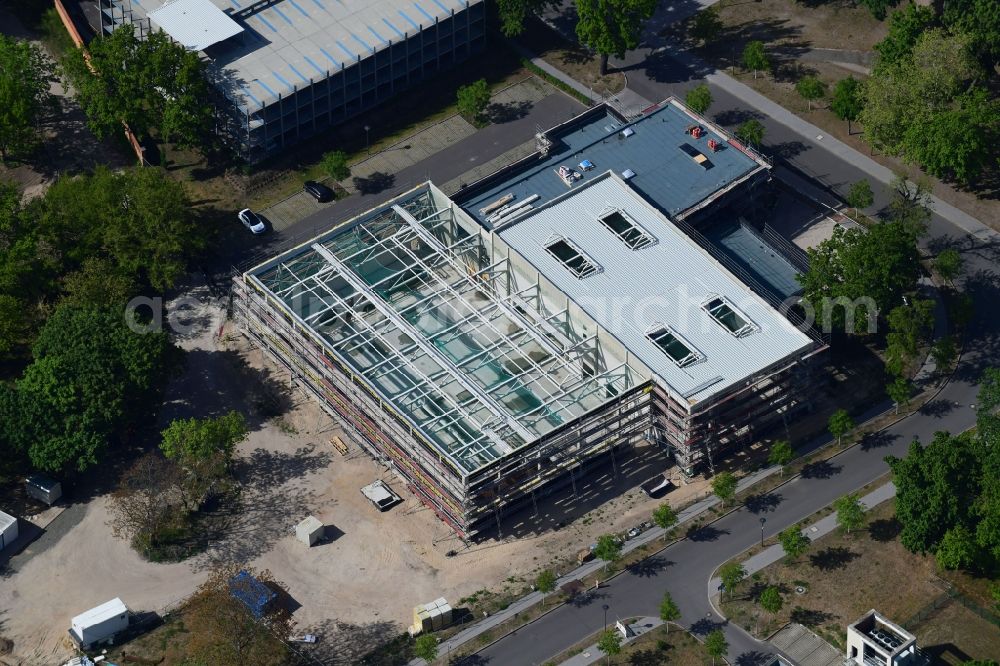 Aerial photograph Potsdam - Construction site for the new sports hall on corner Olympischer Weg in Potsdam in the state Brandenburg, Germany