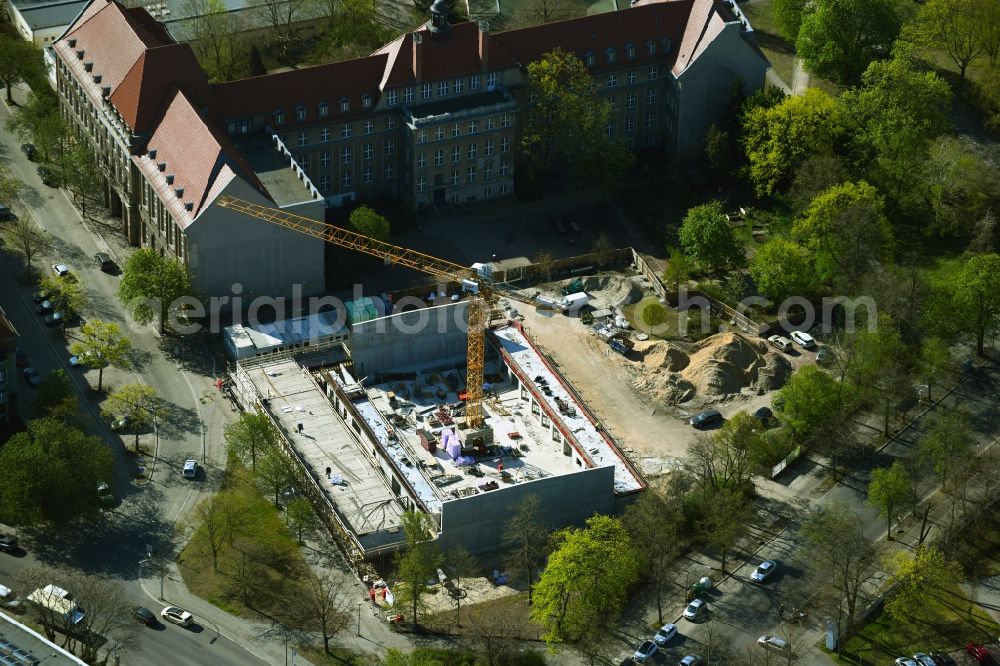 Aerial photograph Berlin - Construction site for the new building of the gymnasium and sports hall at the Lily-Braun-Gymnasium on Galenstrasse in the district of Spandau in Berlin, Germany