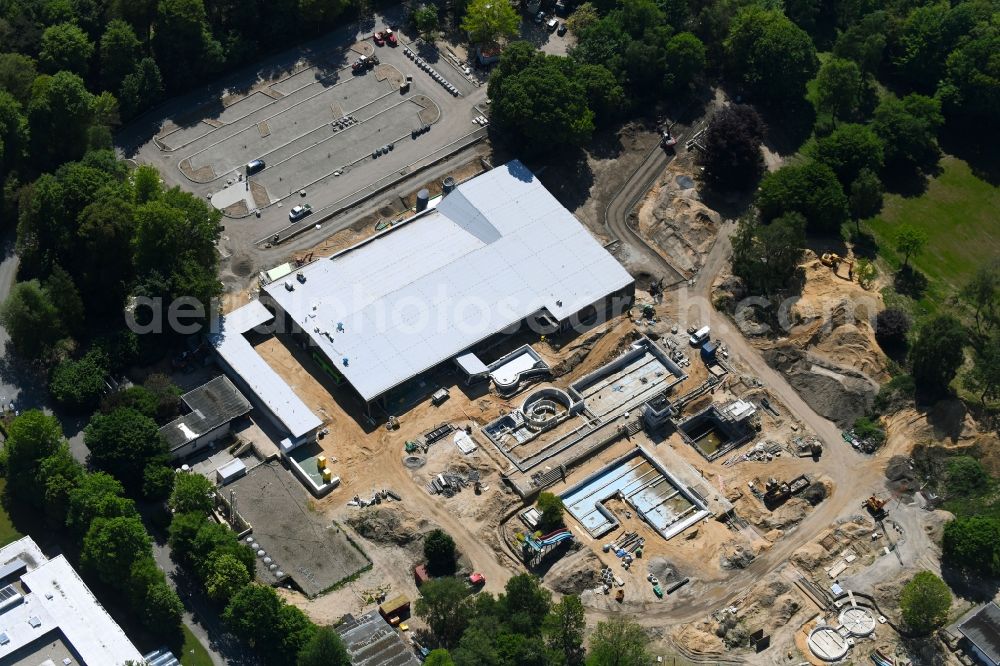 Kleve from above - Construction for the new building of the spa and swimming pool at the swimming pool of Recreation Sternbuschbad Am Freudenberg in Kleve in the state North Rhine-Westphalia, Germany