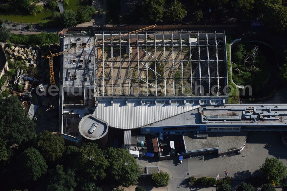 Dresden from the bird's eye view: Construction for the reconstruction of the Afrikahaus of the Dresdener Zoo in Dresden in the state Saxony