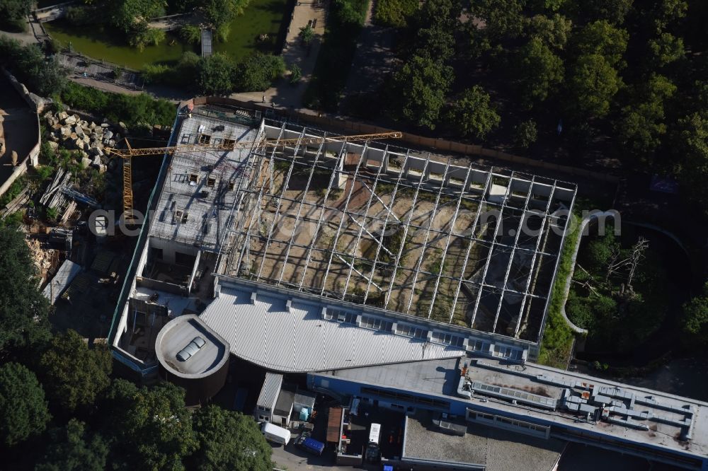 Aerial image Dresden - Construction for the reconstruction of the Afrikahaus of the Dresdener Zoo in Dresden in the state Saxony